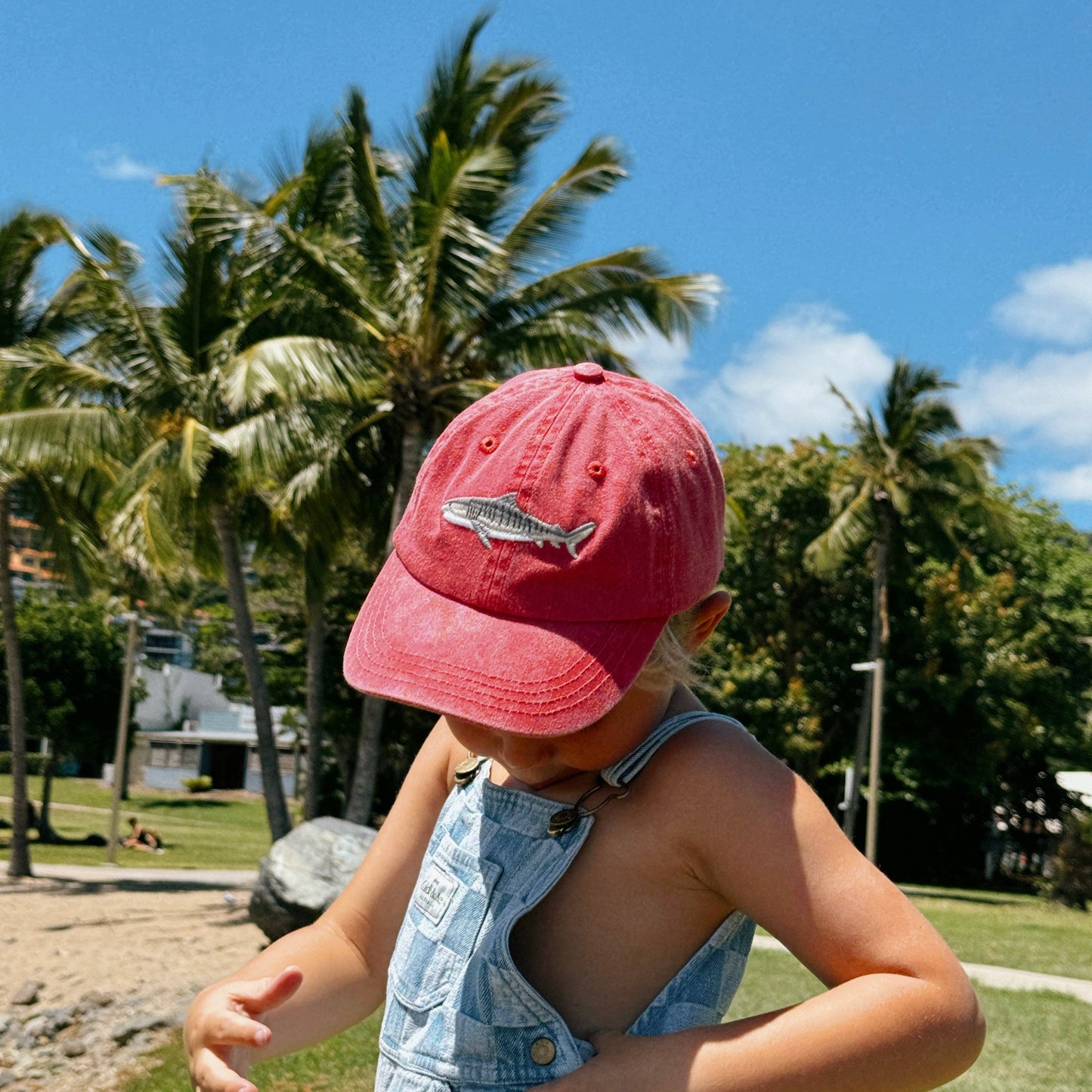 Kids Cap - Tiger Shark Lid