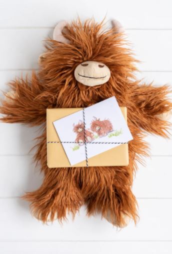 Henry the Highland Cow