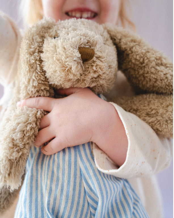 Honey Bear Blue Stripe