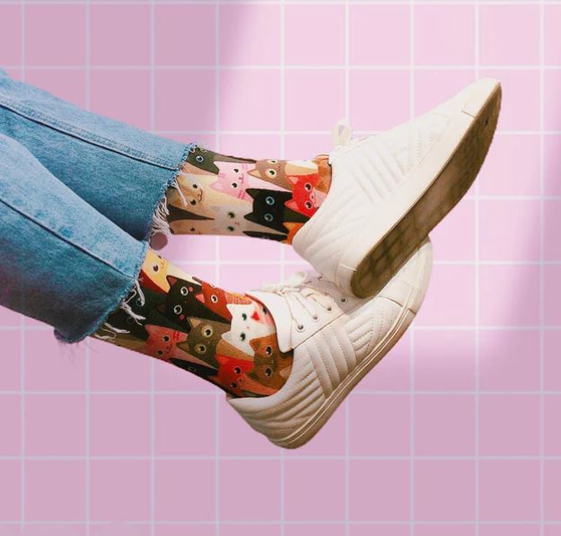 Socks - Herding Cats