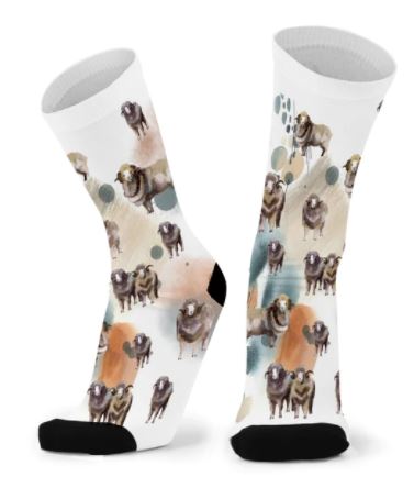 Socks -Merinos