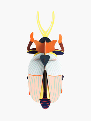Wall Art - Rhinceros Beetle