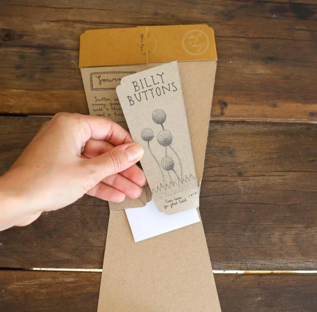 Seed Pack - Billy Buttons
