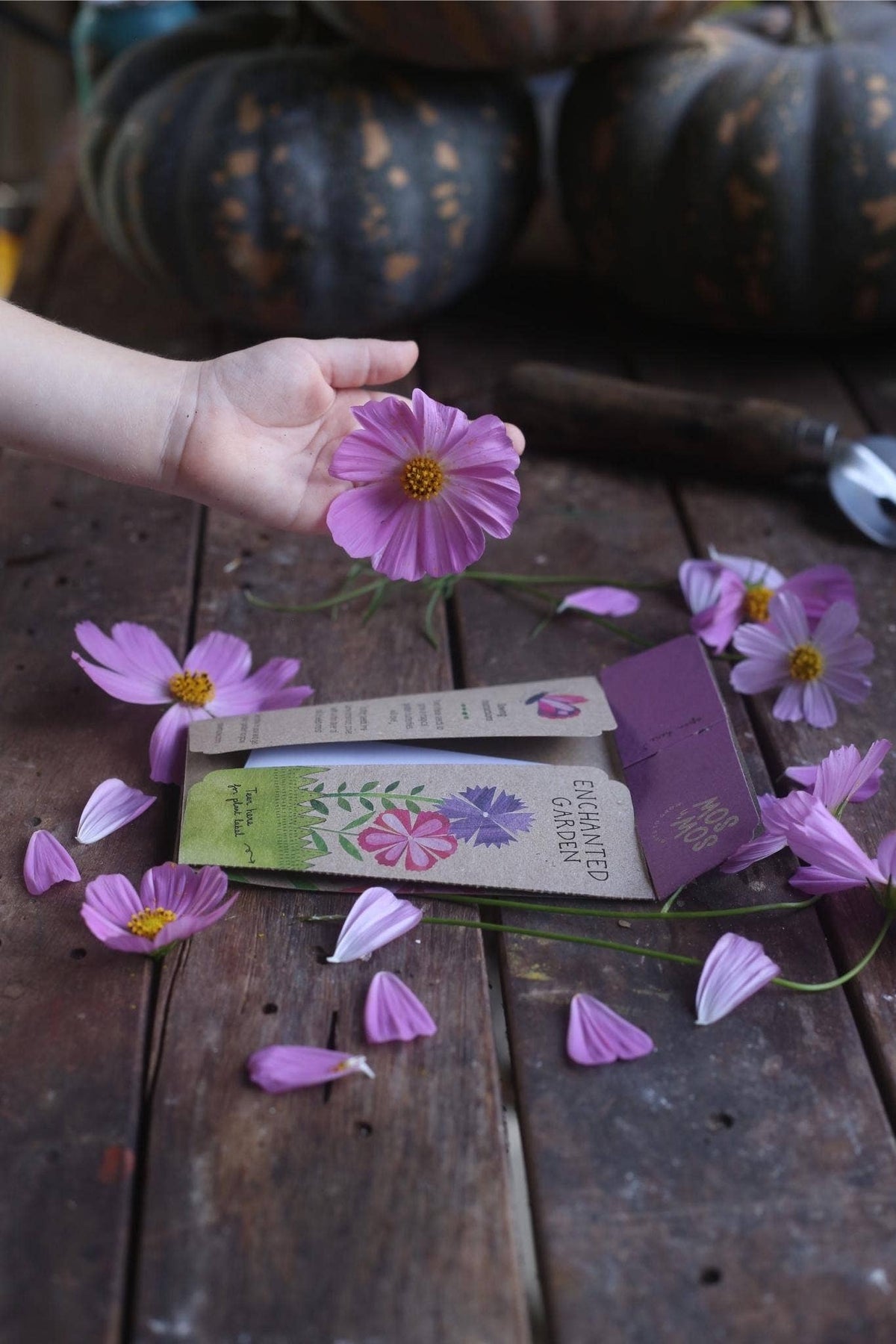 Enchanted Garden Gift of Seeds (Australia Only)