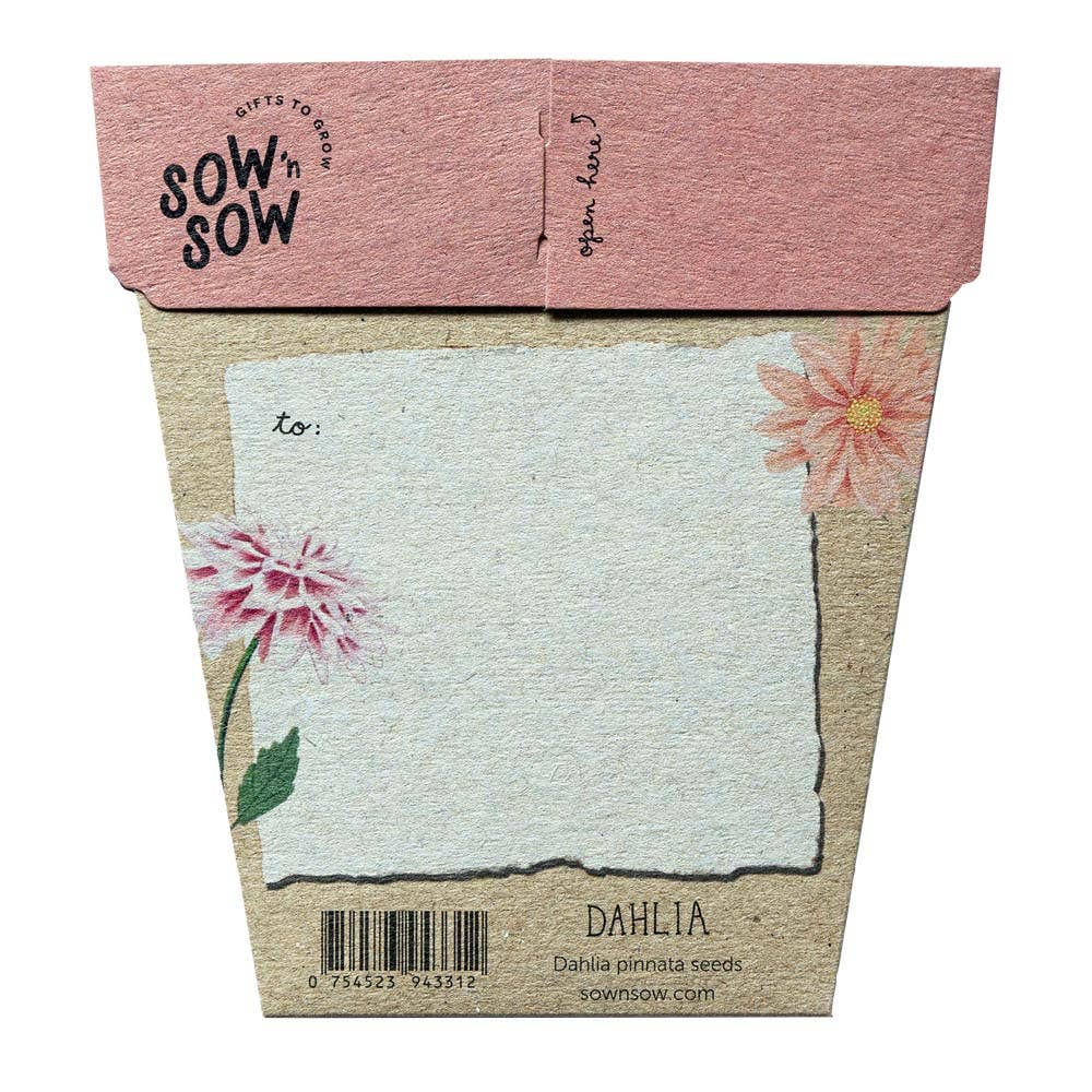 Dahlia Gift of Seeds (Australia Only)