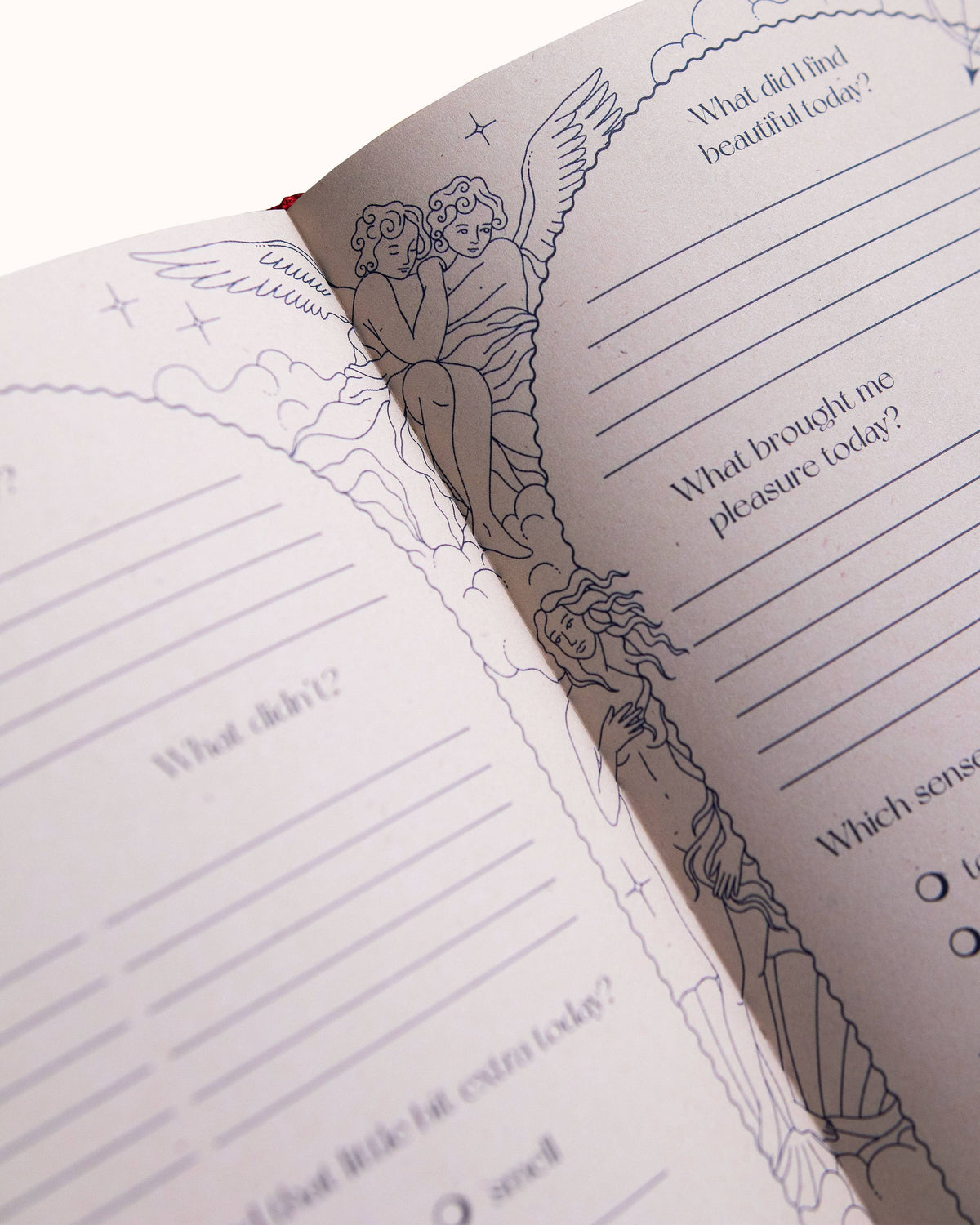 Aphrodite's Lilac Journal