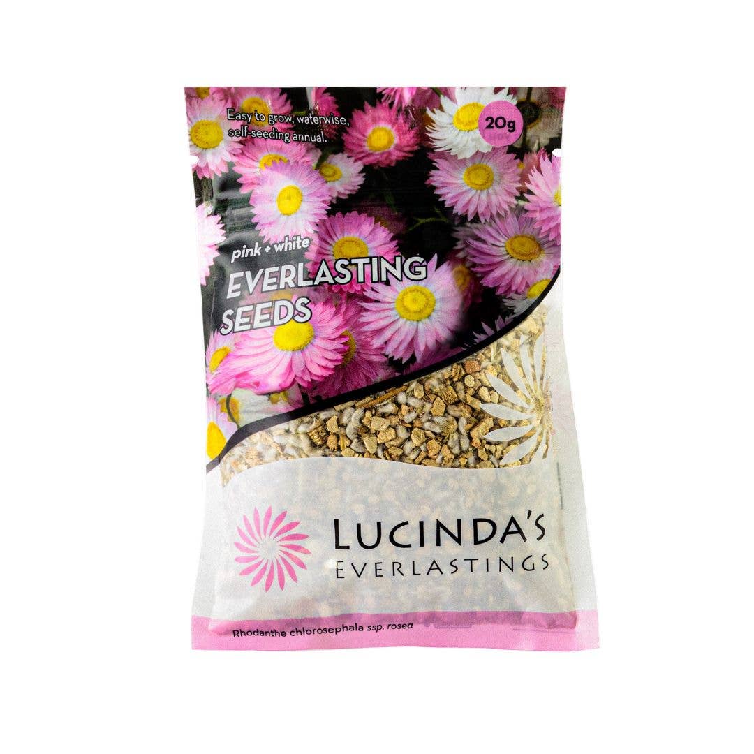 Everlasting Paper Daisy Seed - 20 g Packet Refills