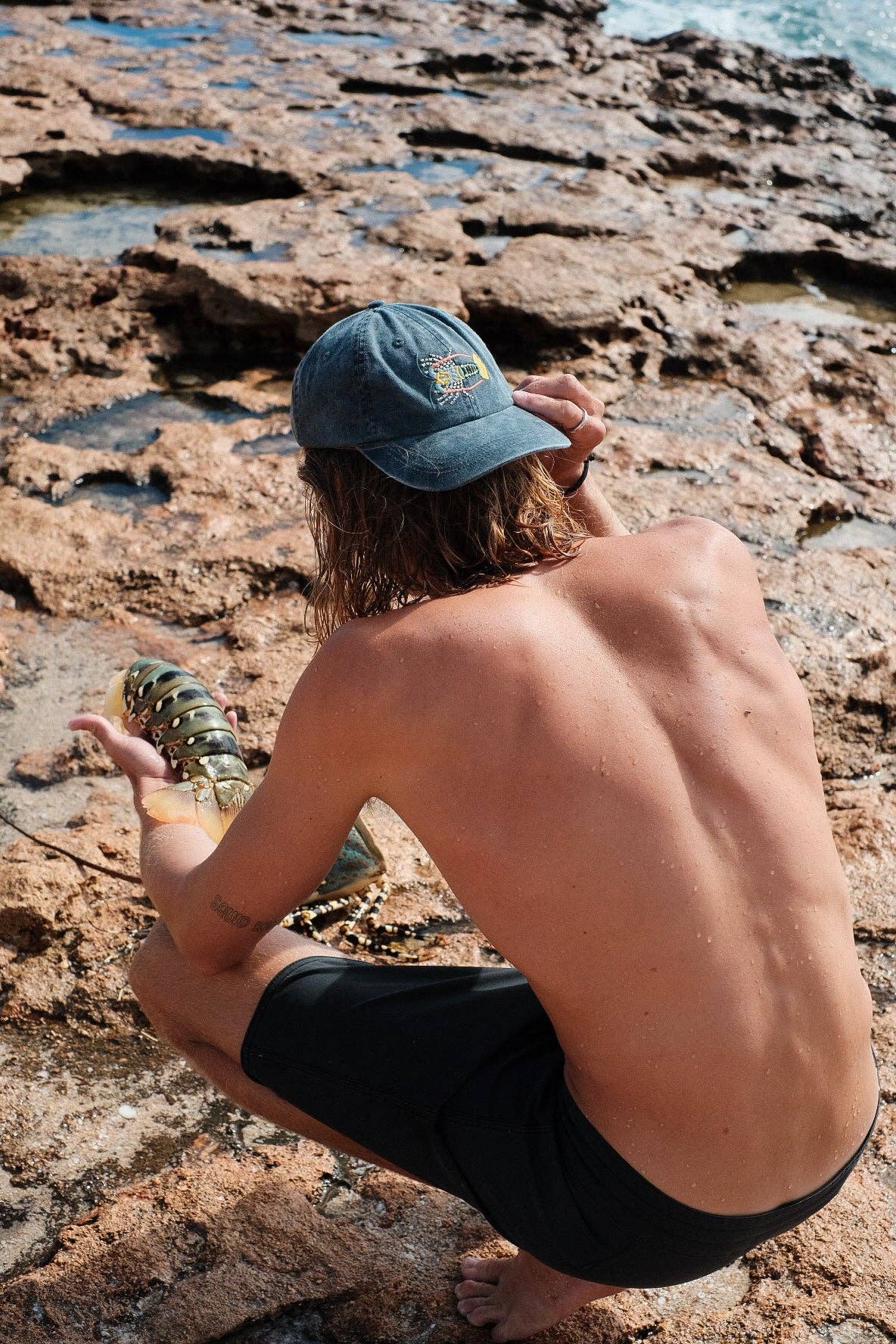 Adult Cap - Tropical Rock Lobster Lid