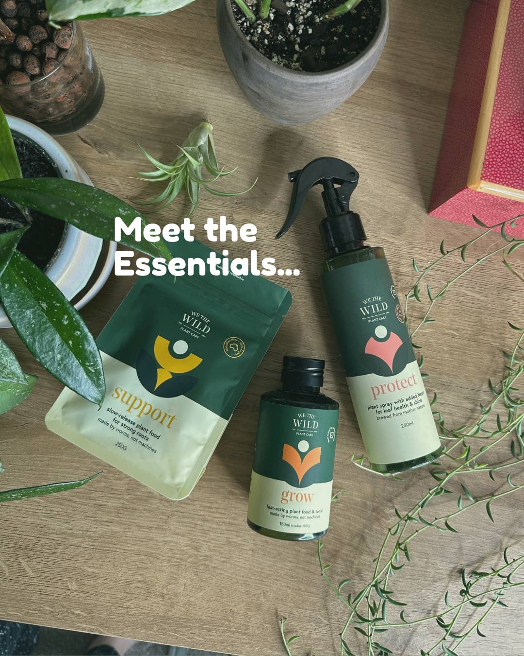 Essential Plant Care Kit