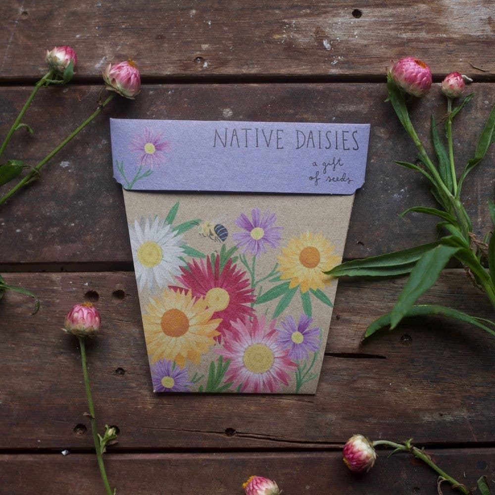 Native Daisies Gift of Seeds (Australia Only)