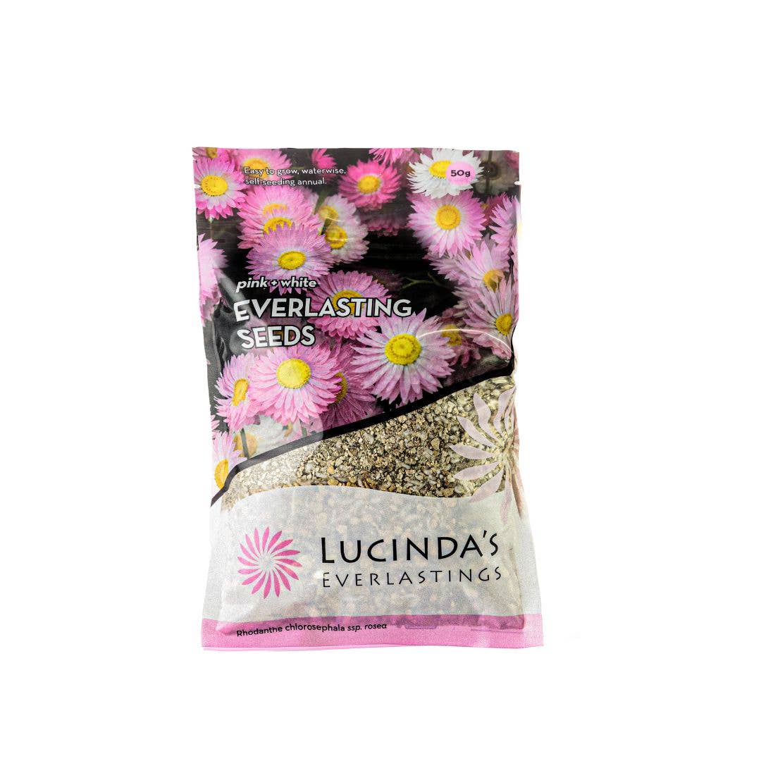 Everlasting Paper Daisy Seed - 50 g Packet Refills