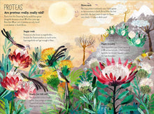 Book - The Big Book of Blooms