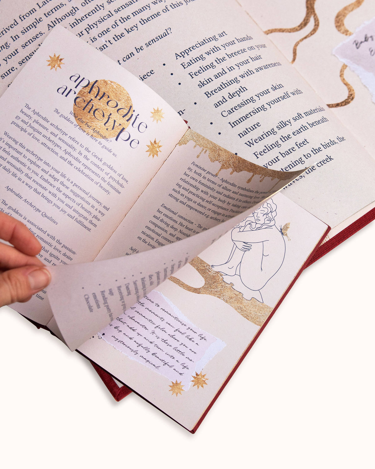 Aphrodite's Lilac Journal