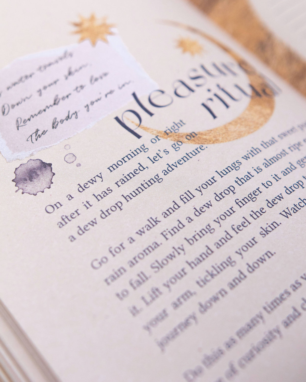 Aphrodite's Lilac Journal