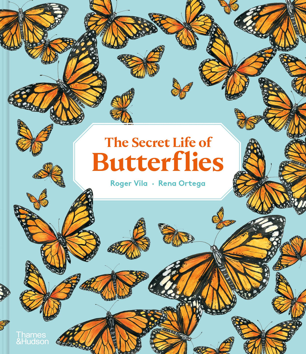Book - Secret Life of Butterflies