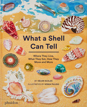 Book - What A Shell Can Tell