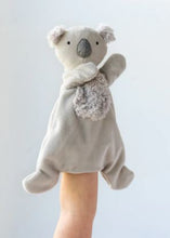 Caz the Cuddly Koala - Hoochy Coochie