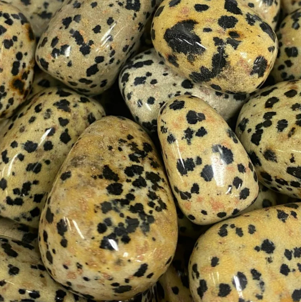 Crystal - Tumbled Dalmatian Jasper