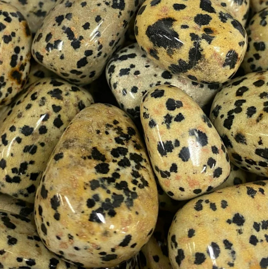 Crystal - Tumbled Dalmatian Jasper