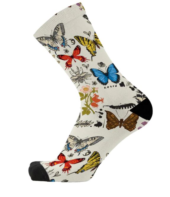 Socks - Flutter