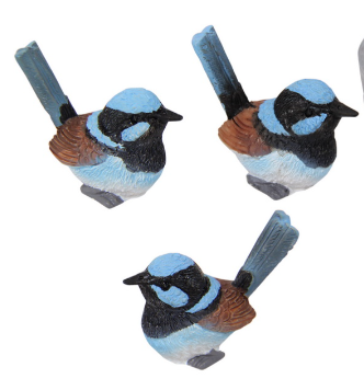 Miniature Fairy Wren