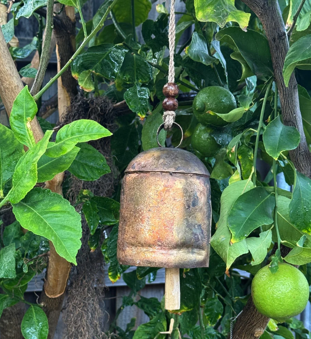 Handmade Rustic Bell 16cm