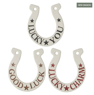 Horseshoe Resin Trinket 13x15x1cm 3 Asst