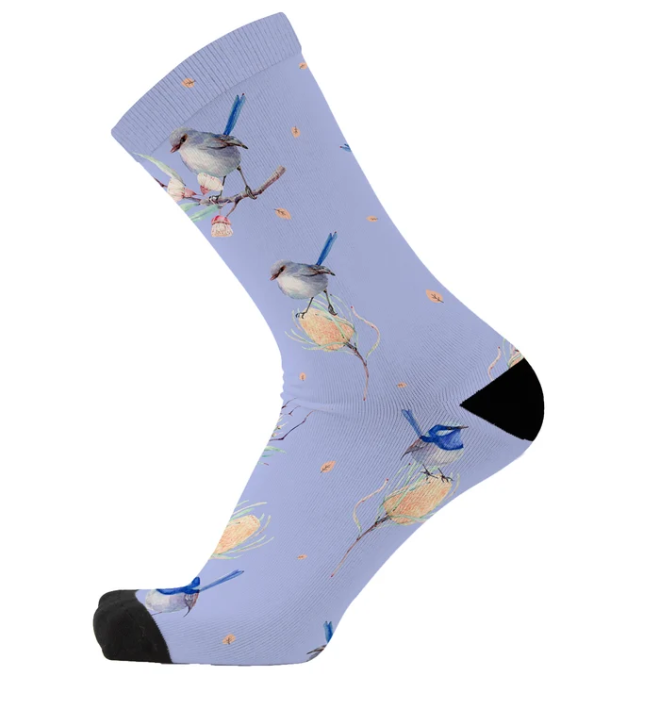 Socks - Wren of a Kind