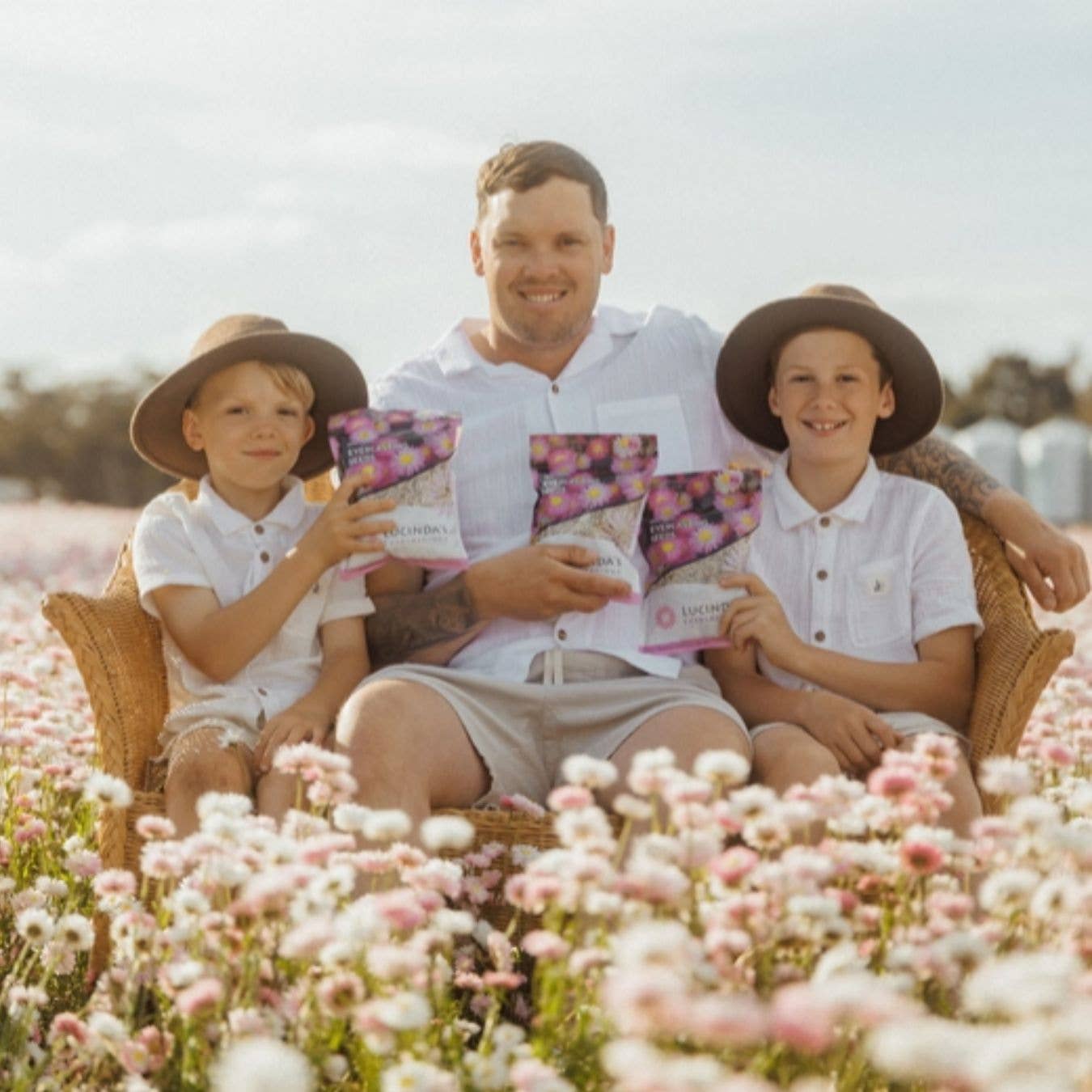 Everlasting Paper Daisy Seed - 50 g Packet Refills