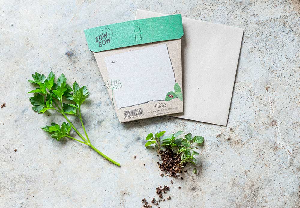 Garden Herbs Gift of Seeds (Australia Only)