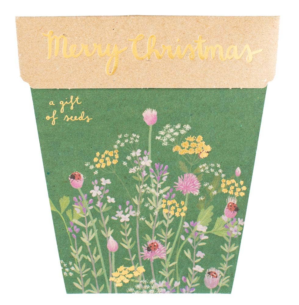 Christmas Herbs Gift of Seeds (Australia Only)
