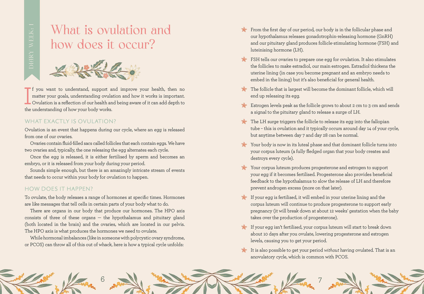 My Wellness Journal