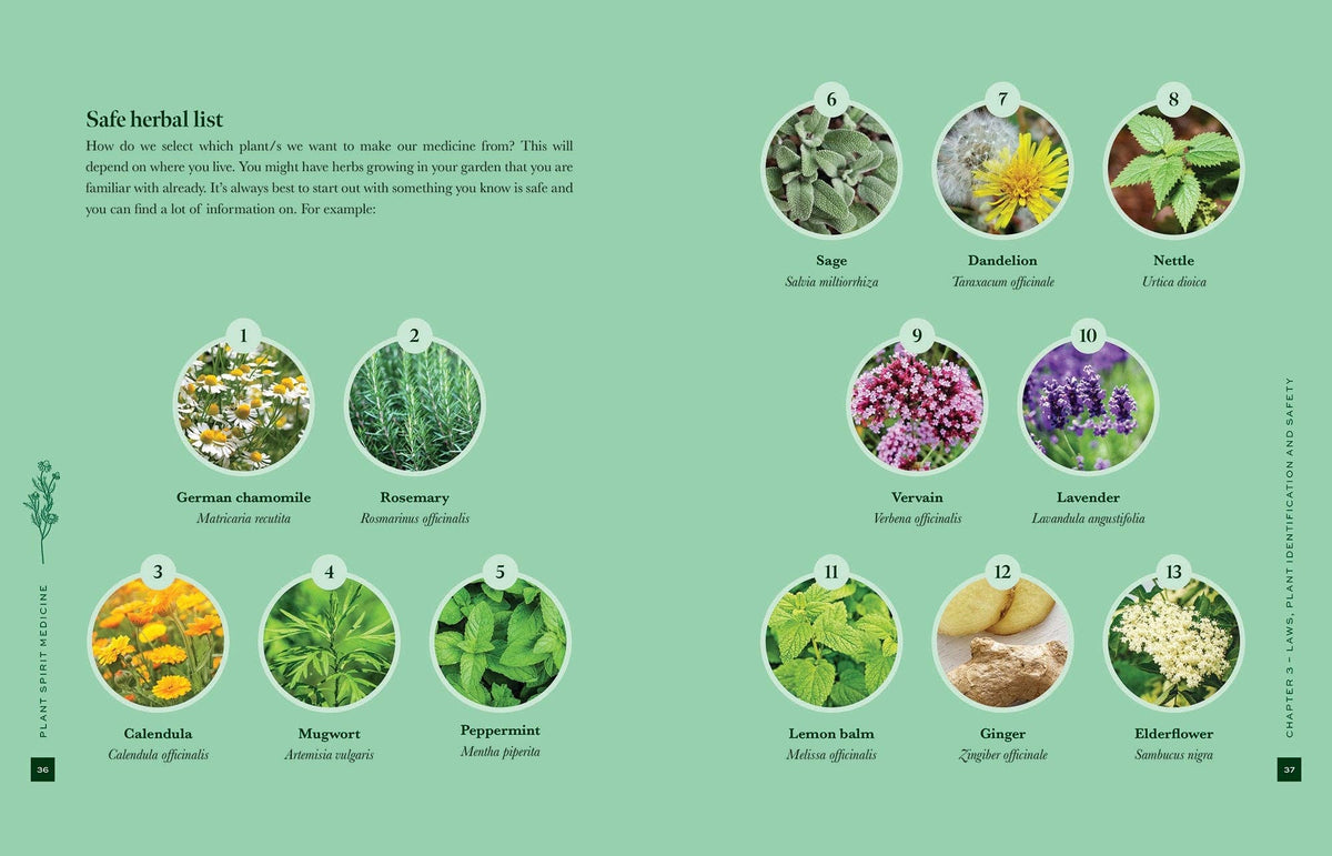 Plant Spirit Medicine
