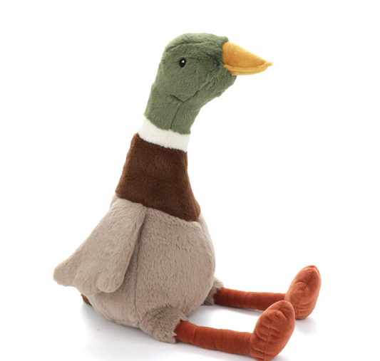 Big Hugo The Mallard Duck