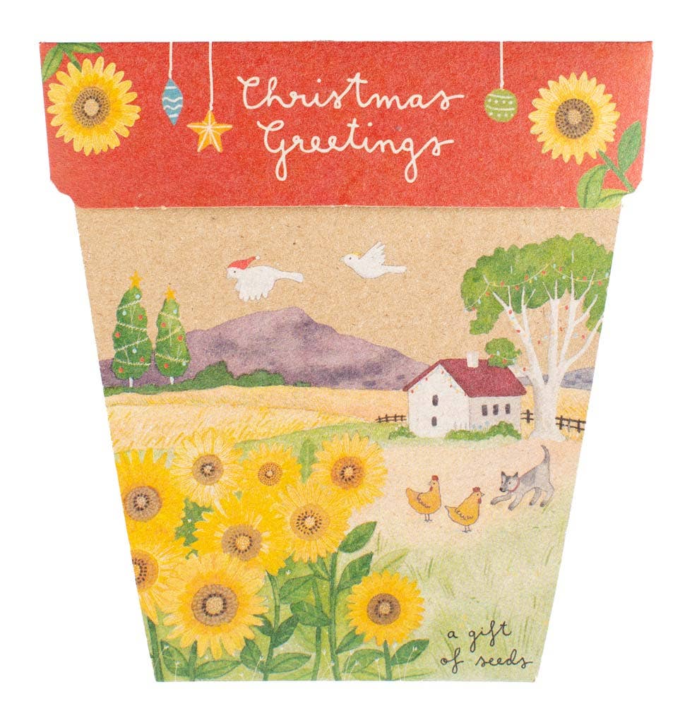 Christmas Sunflower Gift of Seeds (Australia only)