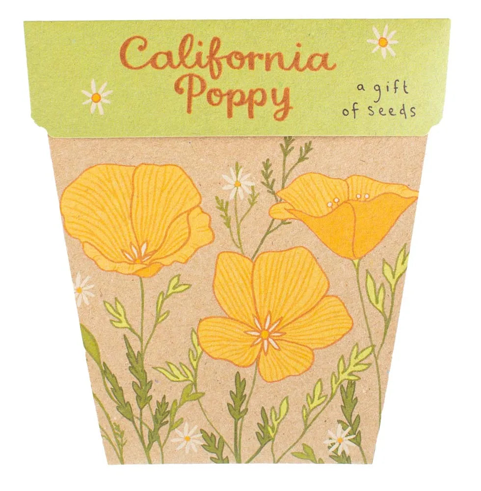 Seed Pack - California Poppy