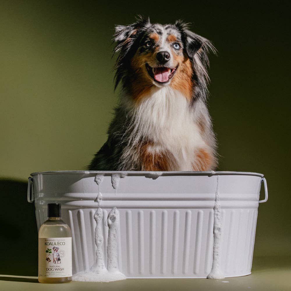 Sweet Marjoram & Rosalina Dog Wash