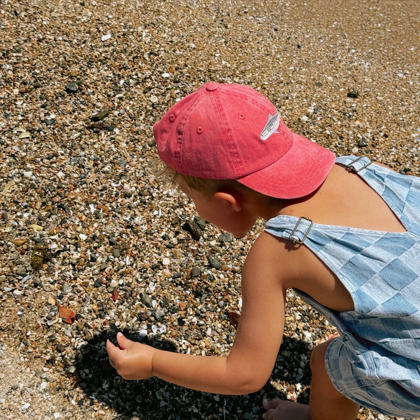 Kids Cap - Tiger Shark Lid