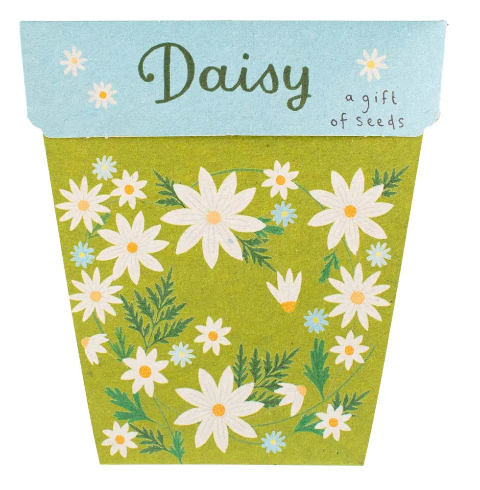 Seed Pack - Daisy