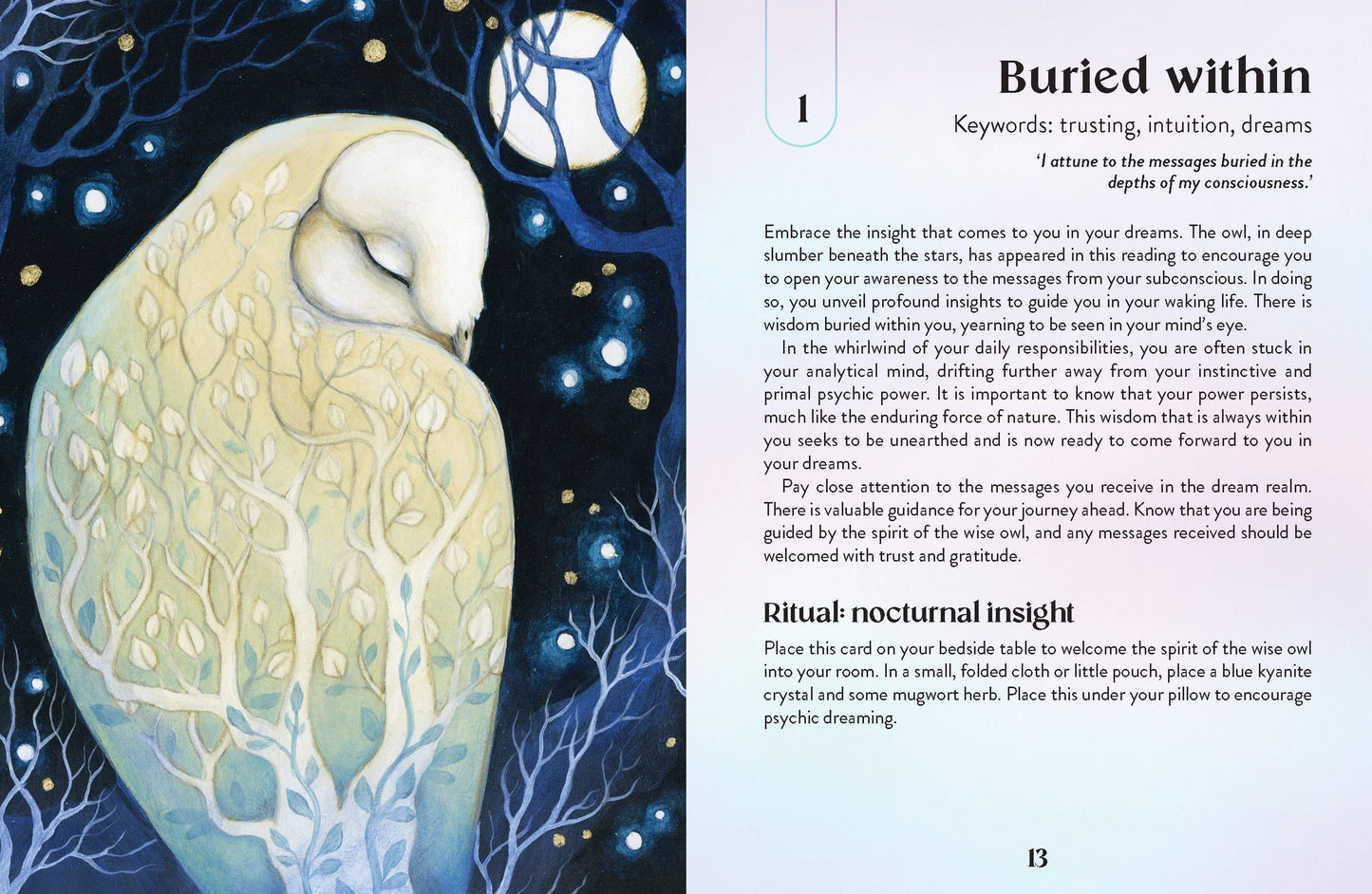 Enchanted Earth Oracle