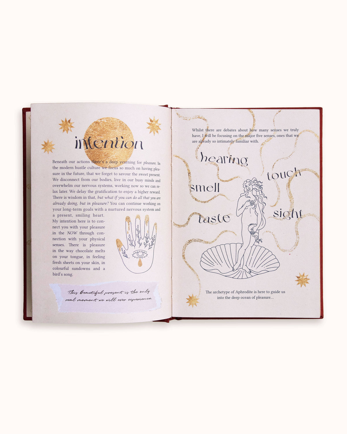 Aphrodite's Lilac Journal