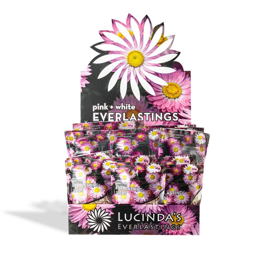Everlasting Paper Daisy Seed - 50 g Packet Refills