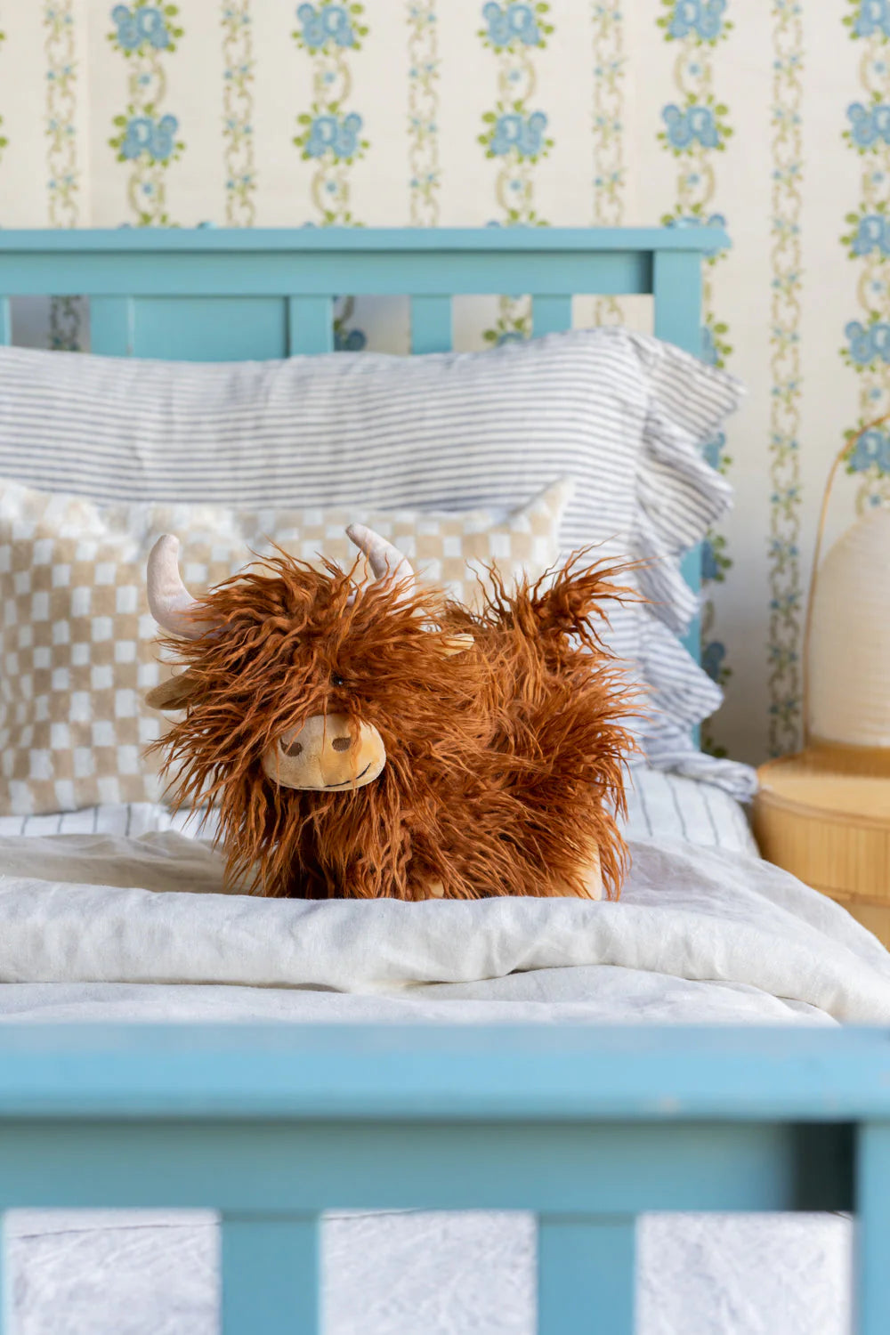 Heidi the Highland Cow