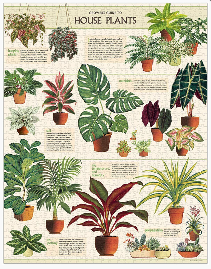 Puzzle Vintage - House Plant 1000 PCE