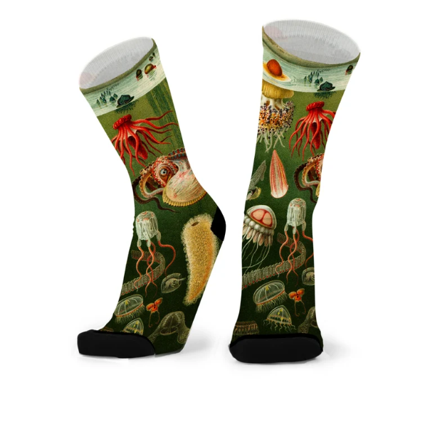 Socks - Tentacle Spectacle
