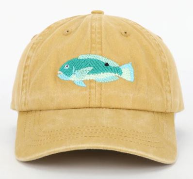 Pallion Point Cap - Tusky Lid