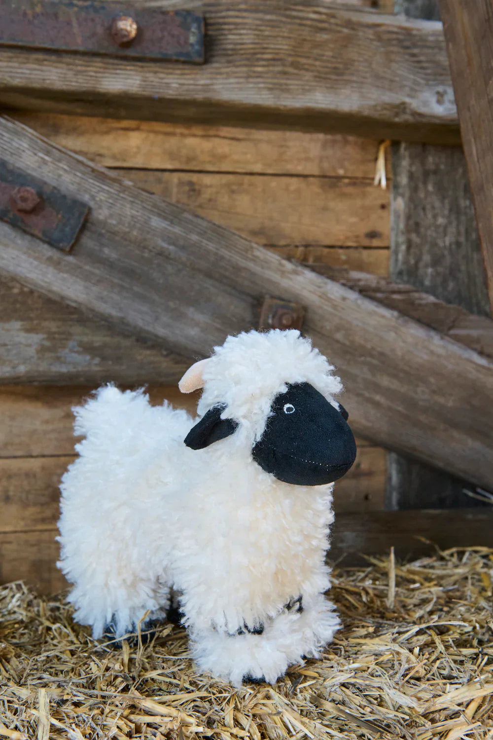 Valentina The Valais Lamb