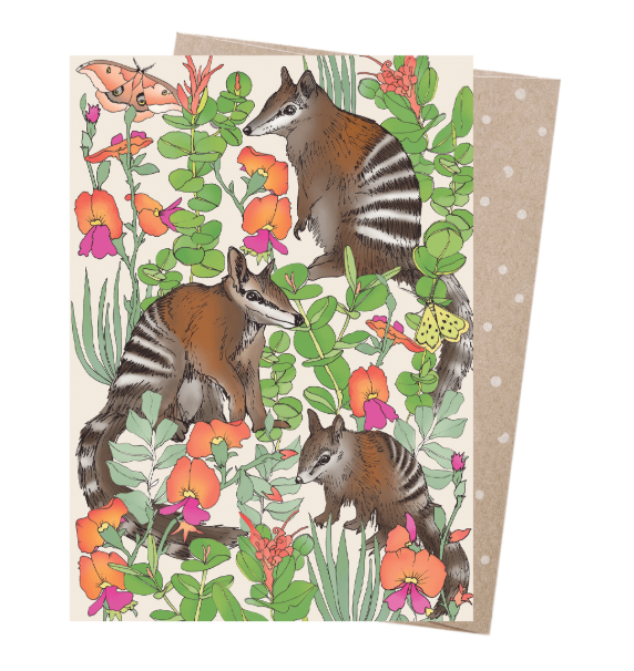 Card - Numbat Family