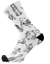 Socks - Zodiac