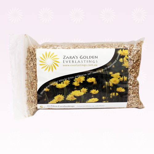 Seed Pack - Golden Everlastings